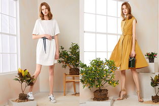 大型品牌折扣女装连锁店装修技巧