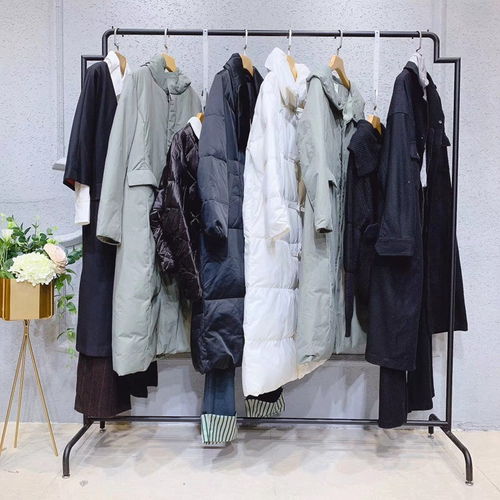 艾格（Etam）与四川高档女装品牌 低价位加盟与羽绒服零售市场策略探析